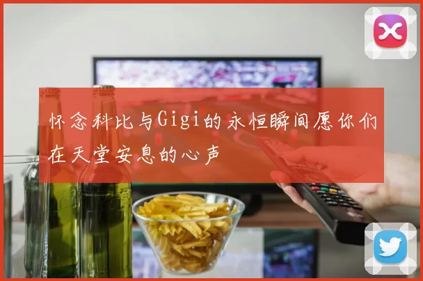怀念科比与Gigi的永恒瞬间愿你们在天堂安息的心声