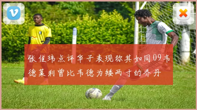 张佳玮点评华子表现称其如同09韦德莱利曾比韦德为矮两寸的乔丹